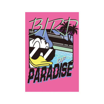 Donald Duck Paradise Postcard