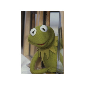 Die Muppets Kermit Postkarte 02