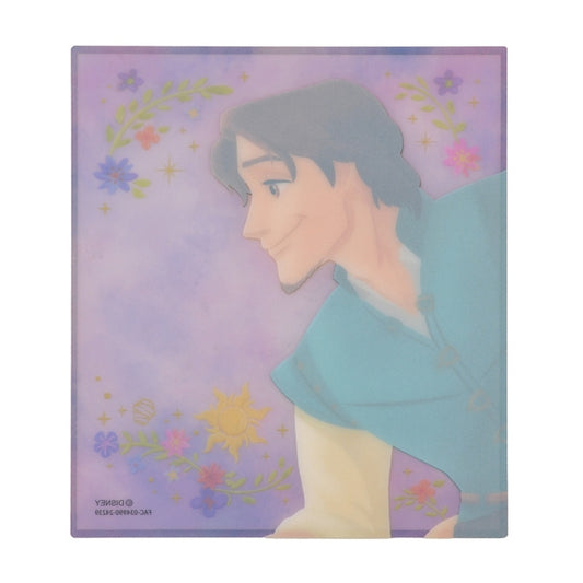 Flynn Rider Clear Portrait